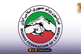 بیانیه تند خانواده ووشو علیه حواشی خواهران منصوریان